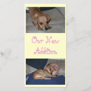 Creëer Uw eigen fotokaarten Aankondiging