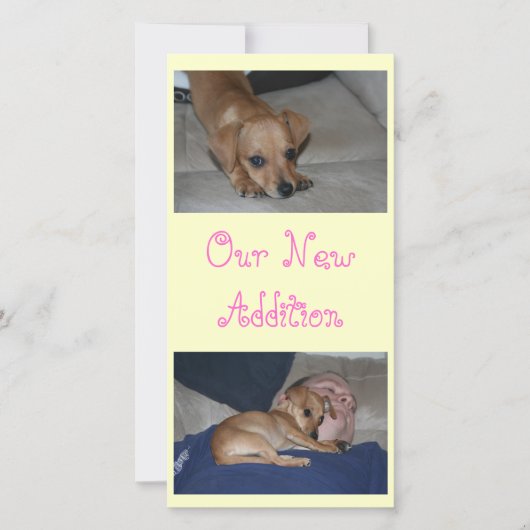 Creëer Uw eigen fotokaarten Aankondiging (Voorkant)