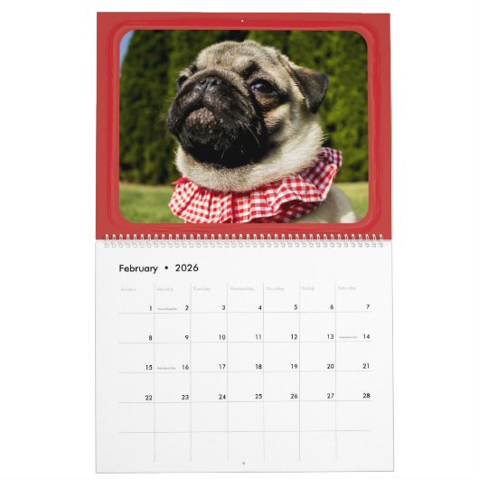 Creëer Uw eigen foto's en familiefoto's Kalender (Feb 2026)