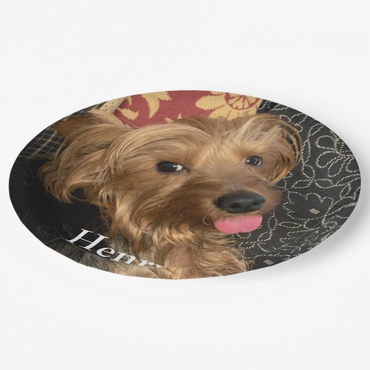 Creëer Uw eigen fotoserie Pet Papieren Bordje (Gekanteld)