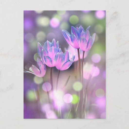 Creëer Uw eigen gepersonaliseerde Bokeh Spring Flo Briefkaart (Voorkant)