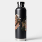 Creëer uw eigen gepersonaliseerde foto en tekst waterfles (Links)