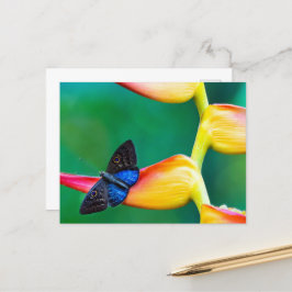 Creëer uw eigen gepersonaliseerde fotosjabloon briefkaart