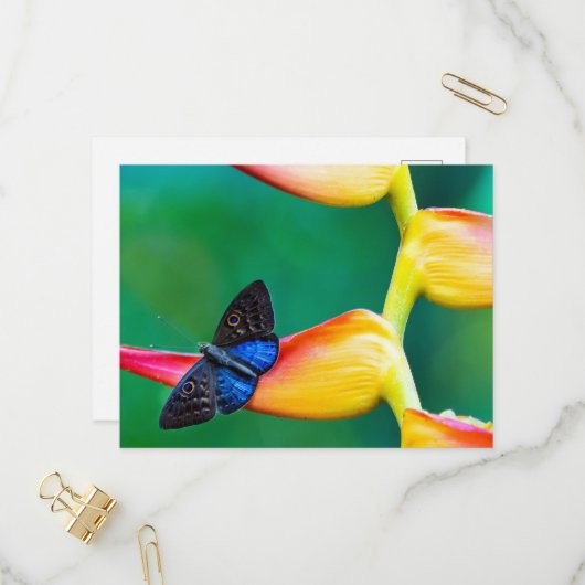 Creëer uw eigen gepersonaliseerde fotosjabloon uitnodiging briefkaart (Voorkant / Achterkant in situ)