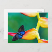 Creëer uw eigen gepersonaliseerde fotosjabloon uitnodiging briefkaart (Voorkant / Achterkant)