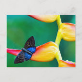 Creëer uw eigen gepersonaliseerde fotosjabloon uitnodiging briefkaart (Voorkant)