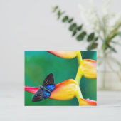 Creëer uw eigen gepersonaliseerde fotosjabloon uitnodiging briefkaart (Staand voorkant)