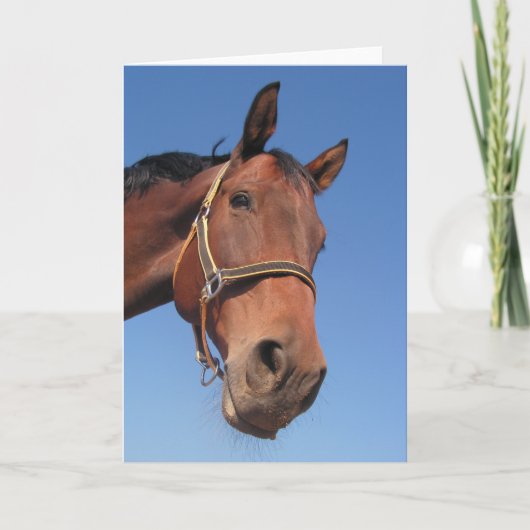 Creëer Uw Eigen Gift van de Foto van de Douane Kaart (Voorkant)