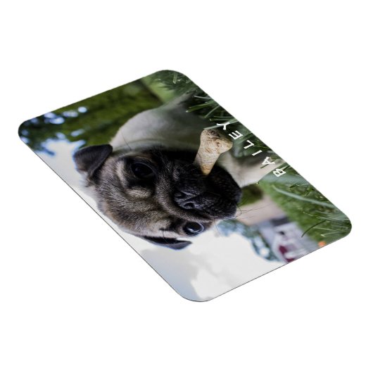 Creëer Uw Eigen Grappige Foto Aangepast Magneet (Rechterzijde)