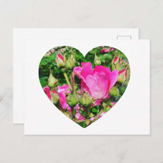 Creëer Uw eigen hartvorm Foto Briefkaart (Voorkant / Achterkant)