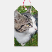 Creëer Uw eigen huisdier foto van en naar maat Cadeaulabel (Voorkant)