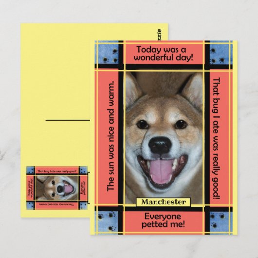 Creëer Uw Eigen Huisdier Hond Kat Foto Grappige Te Briefkaart (Voorkant / Achterkant)