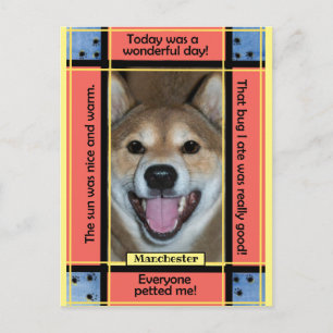 Creëer Uw Eigen Huisdier Hond Kat Foto Grappige Te Briefkaart