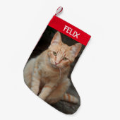 Creëer Uw Eigen Huisdier Tabby Kattenfoto Kleine Kerstsok (Voorkant (Hangend))