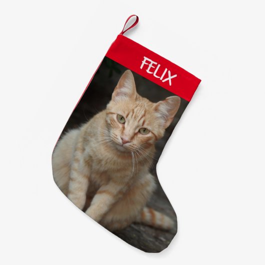 Creëer Uw Eigen Huisdier Tabby Kattenfoto Kleine Kerstsok (Voorkant (Hangend))