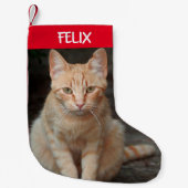 Creëer Uw Eigen Huisdier Tabby Kattenfoto Kleine Kerstsok (Voorkant)