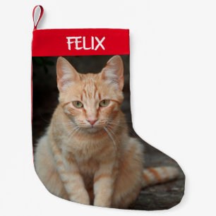 Creëer Uw Eigen Huisdier Tabby Kattenfoto Kleine Kerstsok