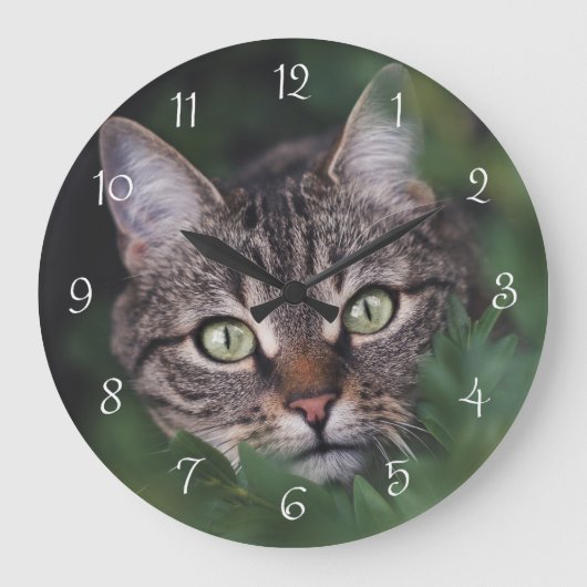 Creëer Uw Eigen Kat Foto Ronde Wandklok (Voorkant)