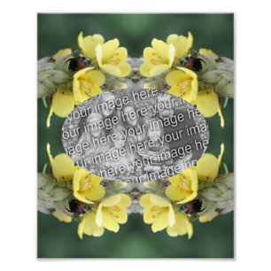 Creëer Uw Eigen Kever Mullein Flower Lijst 8x10 Foto Afdruk