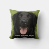 Creëer Uw eigen Knuffel Me Pet Memorial Sierkussen (Voorkant)