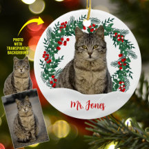 Creëer Uw Eigen Krans Kerstkattenfoto