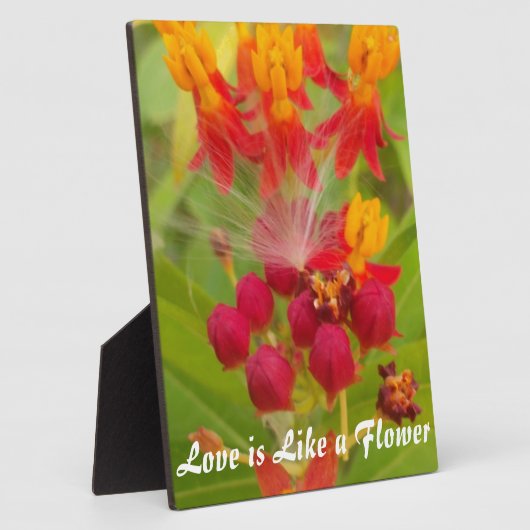 Creëer Uw eigen levenslange levenslange producten  Fotoplaat (Zijkant)