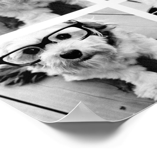 Creëer Uw eigen Limoen van het Foto Collage van he Poster (Hoek)