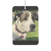 Creëer Uw eigen Luchtverfrisser (Voorkant)