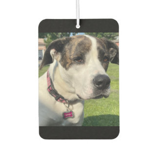 Creëer Uw eigen Luchtverfrisser