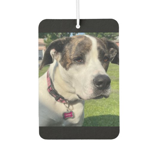 Creëer Uw eigen Luchtverfrisser (Voorkant)