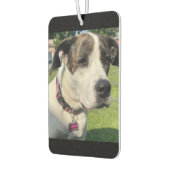 Creëer Uw eigen Luchtverfrisser (Links)