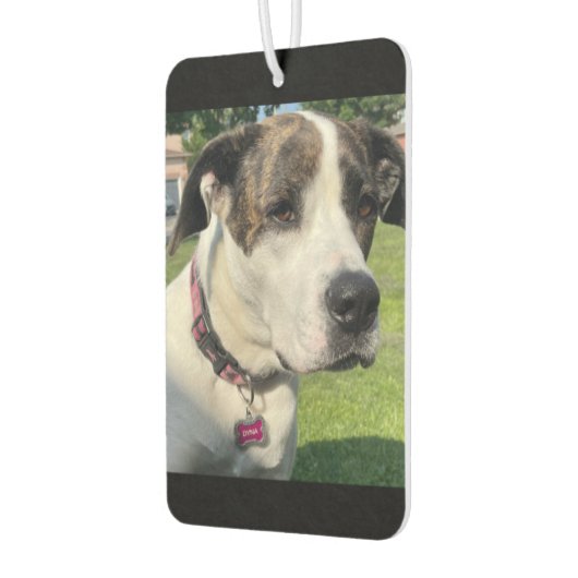 Creëer Uw eigen Luchtverfrisser (Links)