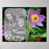 Creëer Uw eigen Pasque Flower Lijst Foto Poster (Voorkant)