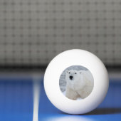 Creëer Uw eigen persoonlijke foto Pingpongbal (Net)