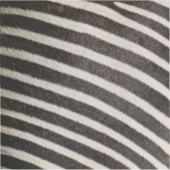 Creëer uw eigen professional sticker (Voorkant)