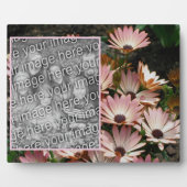 Creëer Uw eigen Roze Afrikaans Daisy Flowers Foto Fotoplaat (Voorkant)