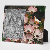 Creëer Uw eigen Roze Afrikaans Daisy Flowers Foto Fotoplaat (Zijkant)