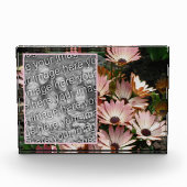 Creëer Uw eigen Roze Afrikaans Daisy Flowers Fotoblokken (Voorkant)