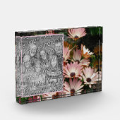 Creëer Uw eigen Roze Afrikaans Daisy Flowers Fotoblokken (Links)