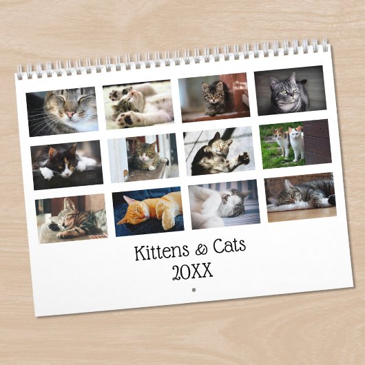 Creëer Uw eigen Schattigee Katten Kittens Pet Foto Kalender