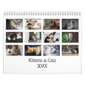 Creëer Uw eigen Schattigee Katten Kittens Pet Foto Kalender (Hoes)