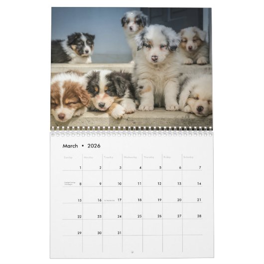 Creëer Uw eigen Schattigee Puppy Dog Pet Foto Kalender (Mar 2026)