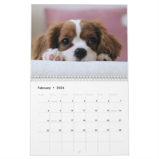 Creëer Uw eigen Schattigee Puppy Dog Pet Foto Kalender (Feb 2026)