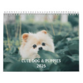 Creëer Uw eigen Schattigee Puppy Dog Pet Foto Kalender (Hoes)