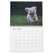 Creëer Uw eigen Schattigee Puppy Dog Pet Foto Kalender (Jan 2026)