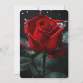 Creëer Uw Eigen Single Red Rose & Water Closeup Kaart (Achterkant)