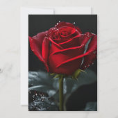 Creëer Uw Eigen Single Red Rose Wedding Kaart (Achterkant)