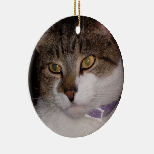 Creëer uw eigen sjabloon van de ornament van de Fo (Rechts)