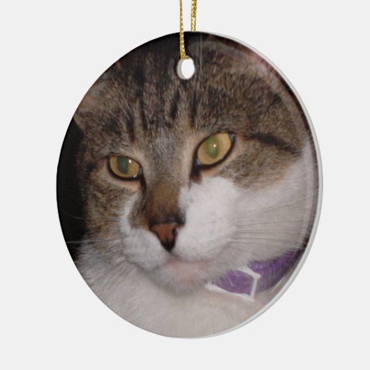 Creëer uw eigen sjabloon van de ornament van de Fo (Links)