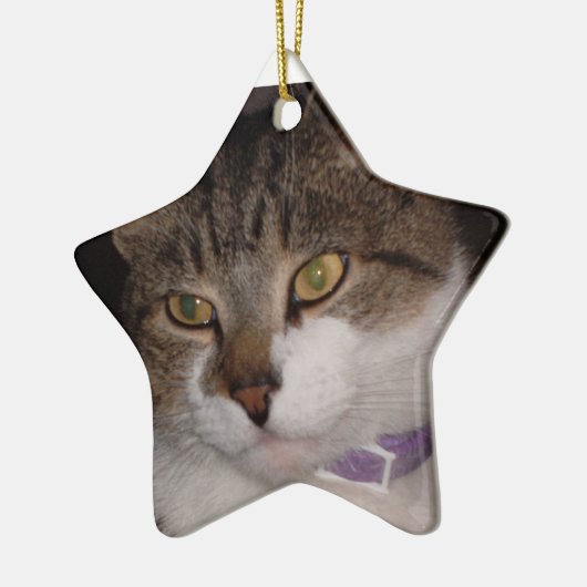 Creëer uw eigen Sjabloon voor Star Ornament (Links)